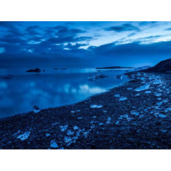 Synergistic Silk Gloves fr-FR